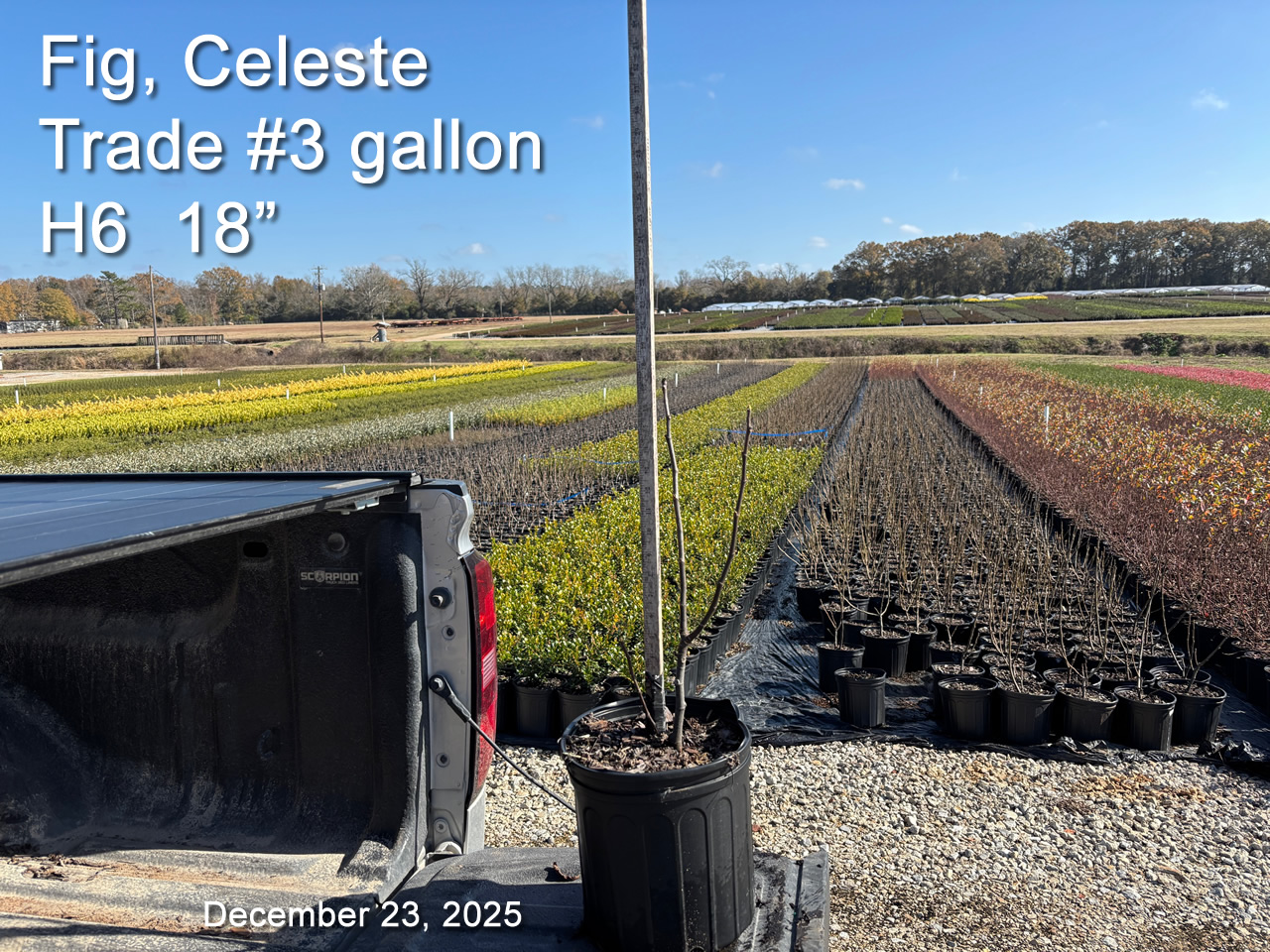 gallery/fct3t h6 dec23.jpg